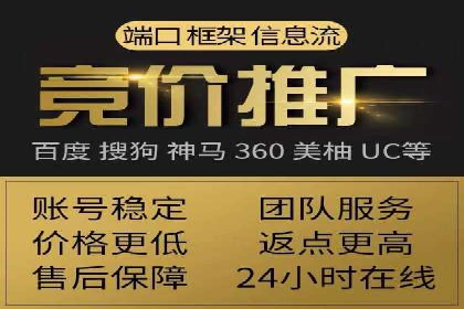 SEM推广案例：提升网站转化率策略解析